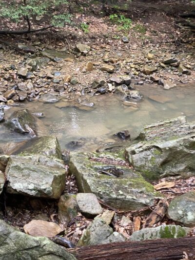 Grove Run Natural Spring - Stahlstown, PA