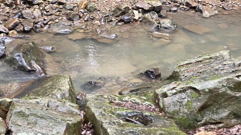 Grove Run Natural Spring - Stahlstown, PA