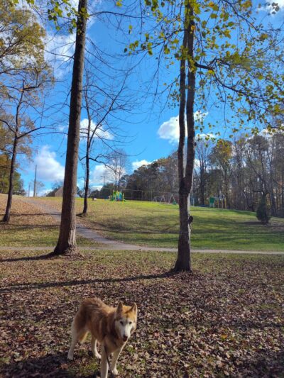 Pete Henkel Park - Stanfield, NC