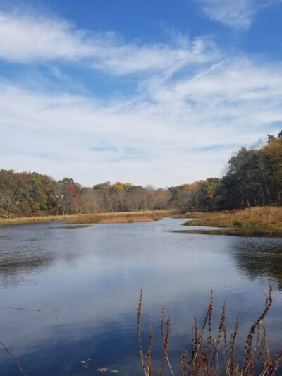 Allamuchy Mountain State Park - Stanhope, NJ