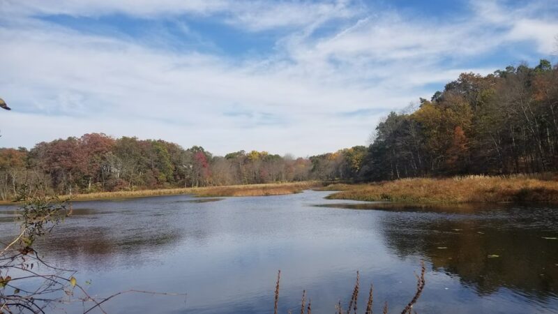 Allamuchy Mountain State Park - Stanhope, NJ
