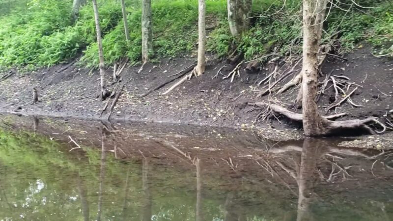 Allamuchy Mountain State Park - Stanhope, NJ