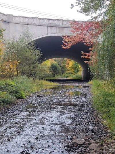 Byram Trail - Stanhope, NJ