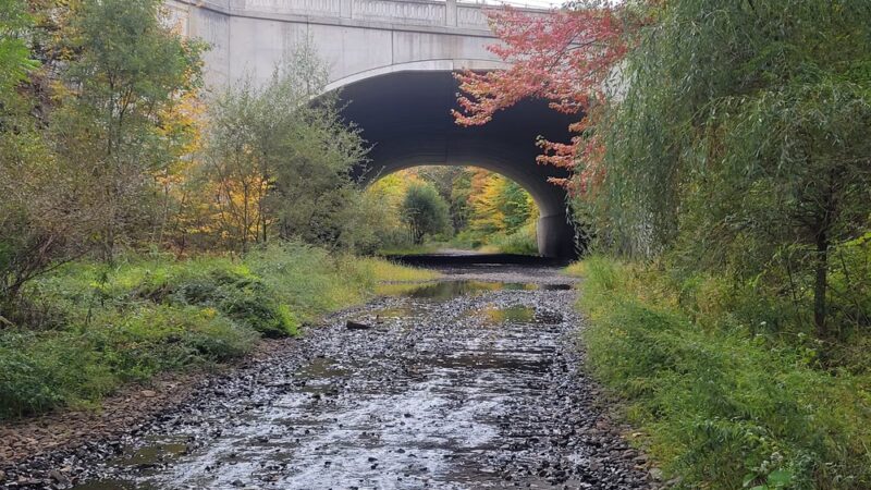 Byram Trail - Stanhope, NJ
