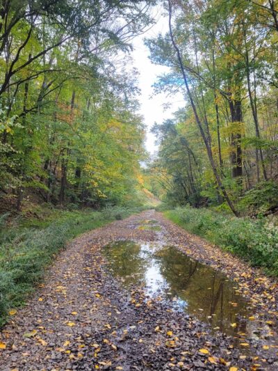 Byram Trail - Stanhope, NJ