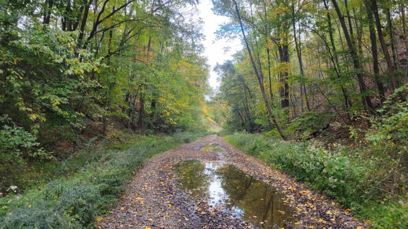 Byram Trail - Stanhope, NJ