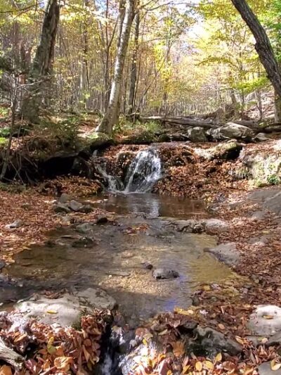 Dark Hollow Falls Trailhead - Stanley, VA