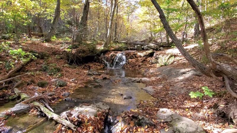 Dark Hollow Falls Trailhead - Stanley, VA