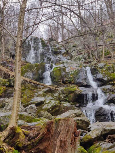 Dark Hollow Falls Trailhead - Stanley, VA