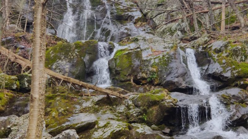 Dark Hollow Falls Trailhead - Stanley, VA