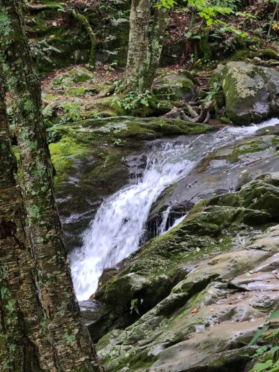 Dark Hollow Falls Trailhead - Stanley, VA