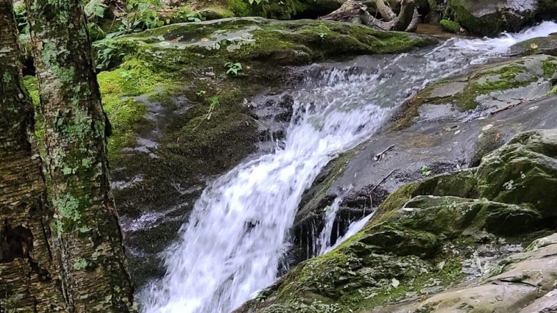 Dark Hollow Falls Trailhead - Stanley, VA