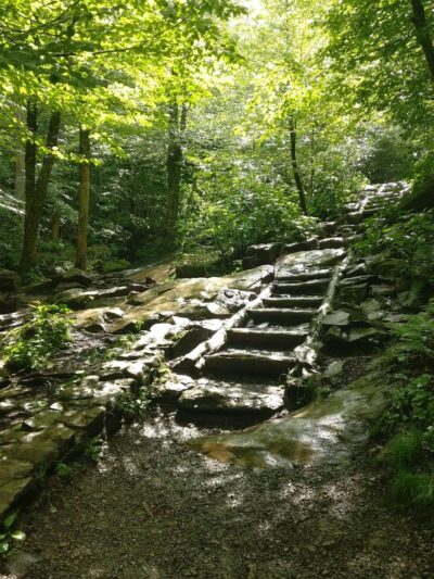 Dark Hollow Falls Trailhead - Stanley, VA