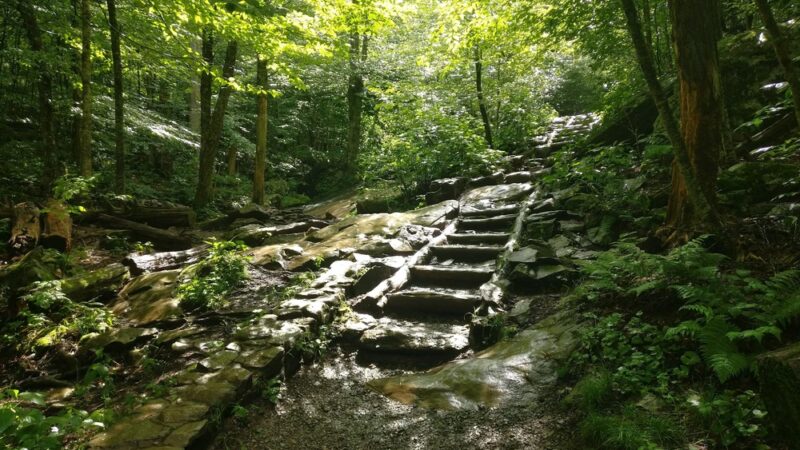 Dark Hollow Falls Trailhead - Stanley, VA