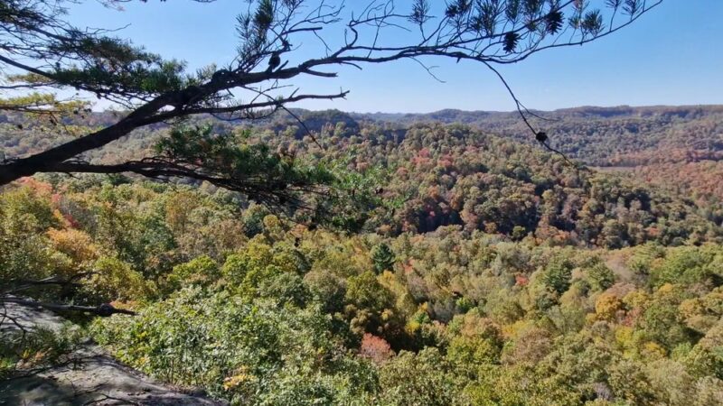 Auxier Ridge Trailhead - Stanton, KY