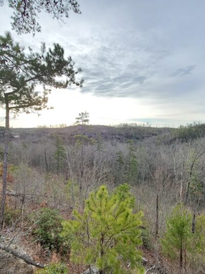 Auxier Ridge Trailhead - Stanton, KY