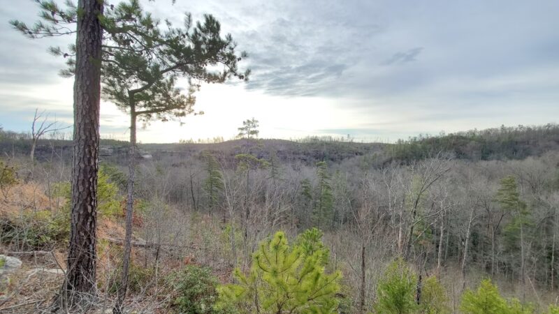 Auxier Ridge Trailhead - Stanton, KY