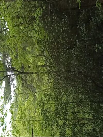 Grays Arch - Stanton, KY