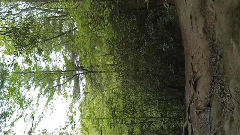 Grays Arch - Stanton, KY