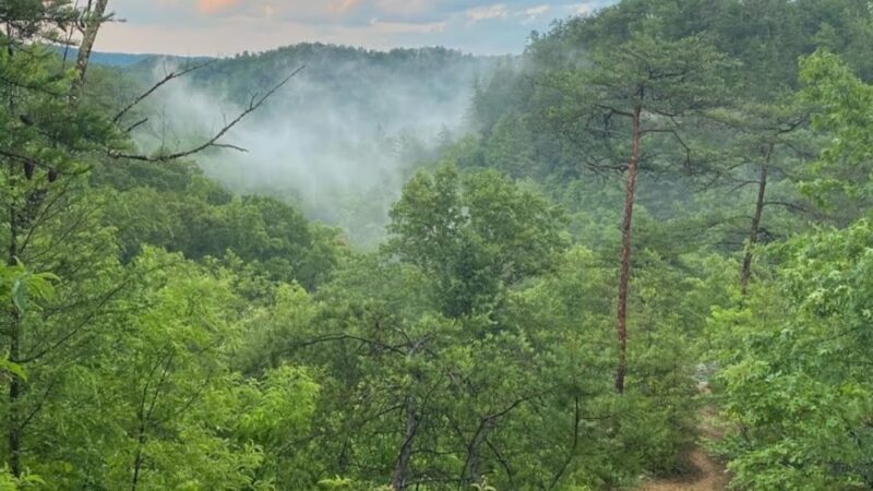 Grays Arch - Stanton, KY