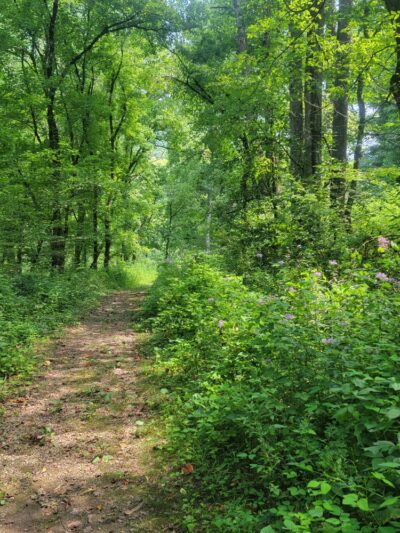 Raven Rock Trailhead - Stanton, KY
