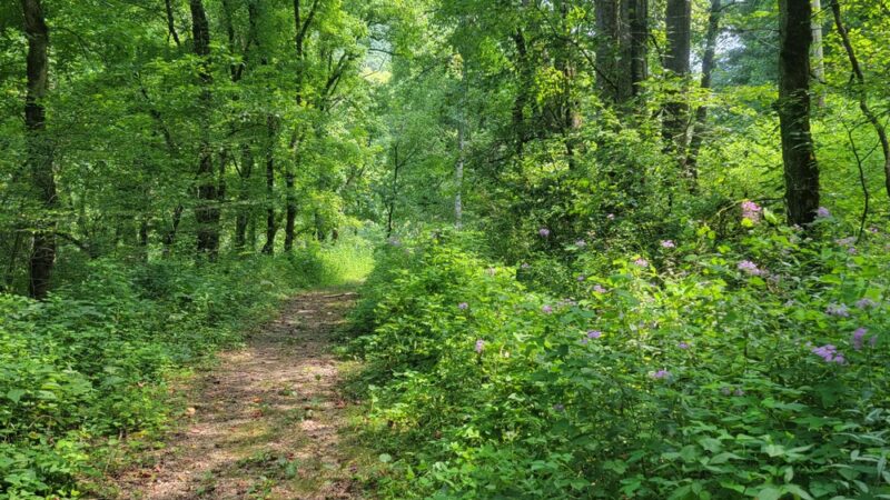 Raven Rock Trailhead - Stanton, KY