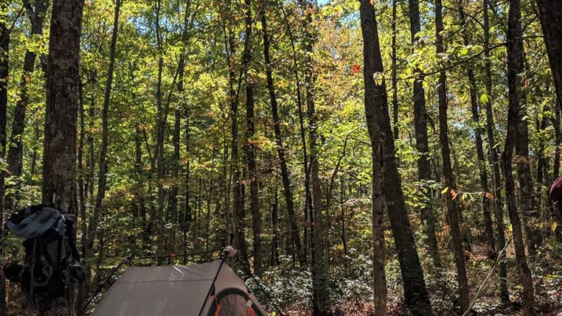 Red River Gorge Campground - Stanton, KY