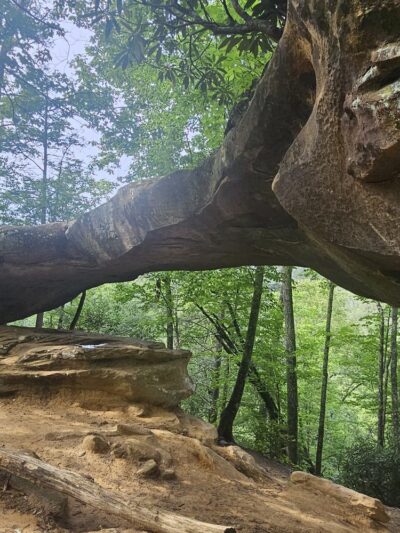 Red River Gorge Geological Area - Stanton, KY