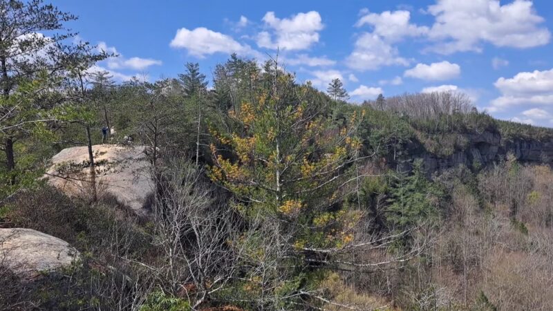 Red River Gorge Geological Area - Stanton, KY