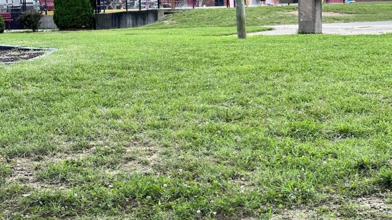Stanton City Park - Stanton, KY