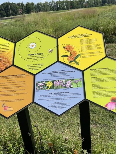 Spectrum Solar Dog Park - Stanton, TN