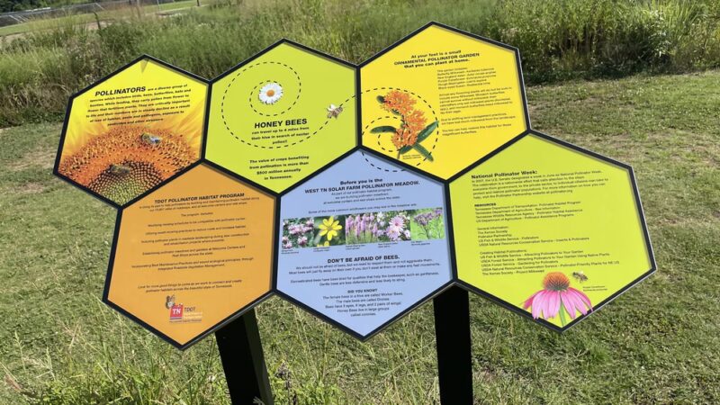 Spectrum Solar Dog Park - Stanton, TN