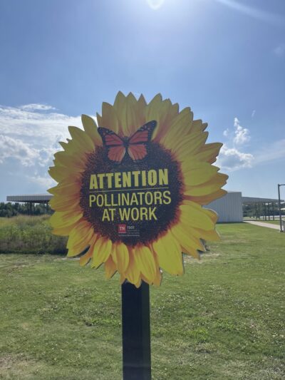 Spectrum Solar Dog Park - Stanton, TN