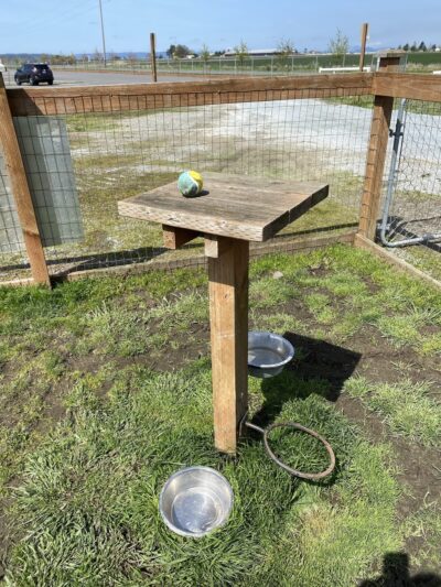 Heritage Dog Park - Stanwood, WA