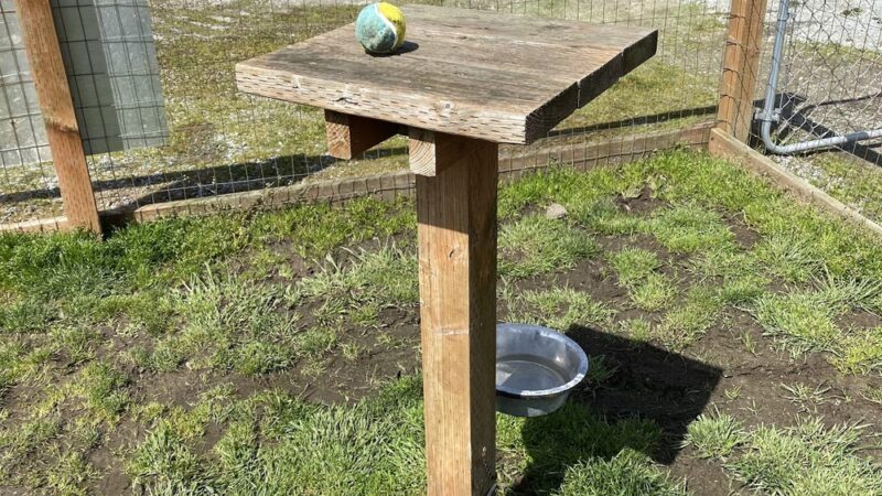 Heritage Dog Park - Stanwood, WA