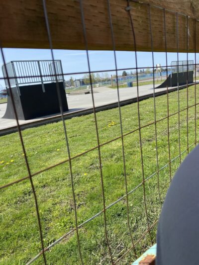 Heritage Dog Park - Stanwood, WA