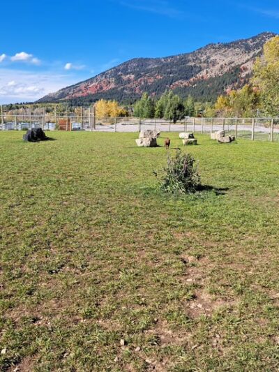 Canine Commons - Star Valley Ranch, WY