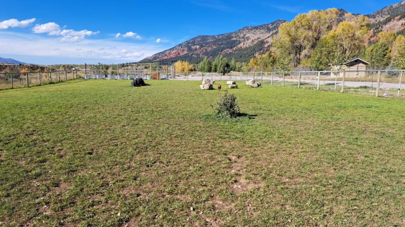 Canine Commons - Star Valley Ranch, WY
