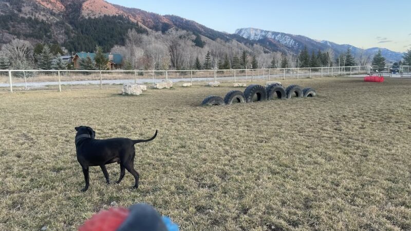Canine Commons - Star Valley Ranch, WY