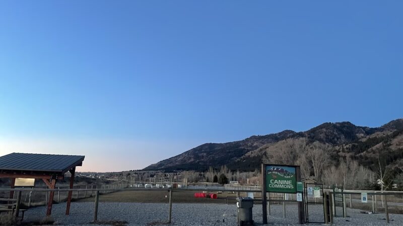 Canine Commons - Star Valley Ranch, WY