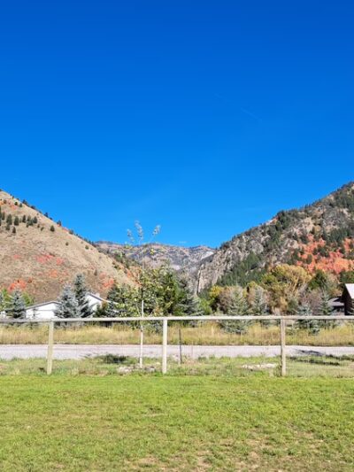 Canine Commons - Star Valley Ranch, WY