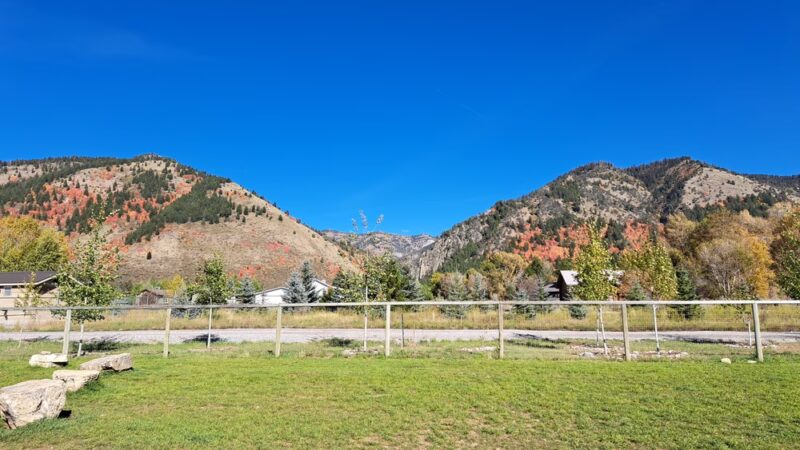 Canine Commons - Star Valley Ranch, WY