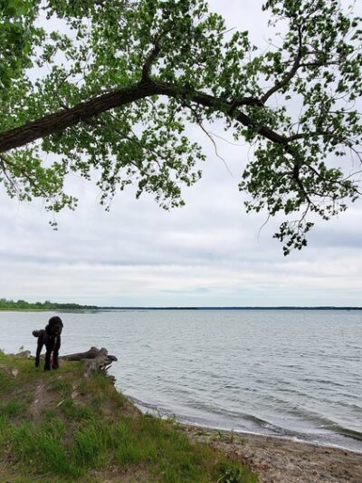 Starbuck City Park - Starbuck, MN