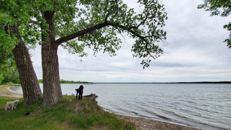 Starbuck City Park - Starbuck, MN