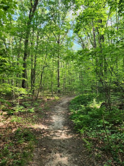 Patton Woods Natural Recreation Area - State College, PA