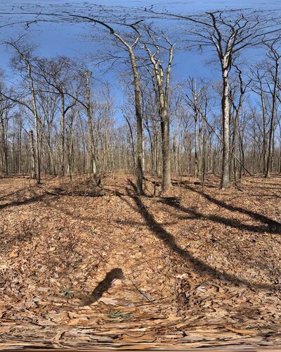 Patton Woods Natural Recreation Area - State College, PA
