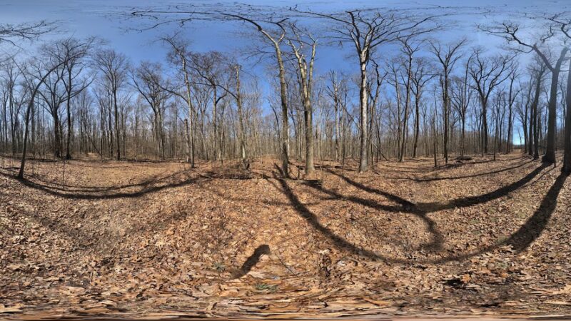 Patton Woods Natural Recreation Area - State College, PA