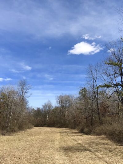 Patton Woods Natural Recreation Area - State College, PA