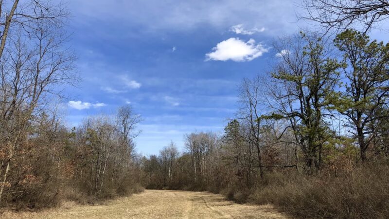 Patton Woods Natural Recreation Area - State College, PA