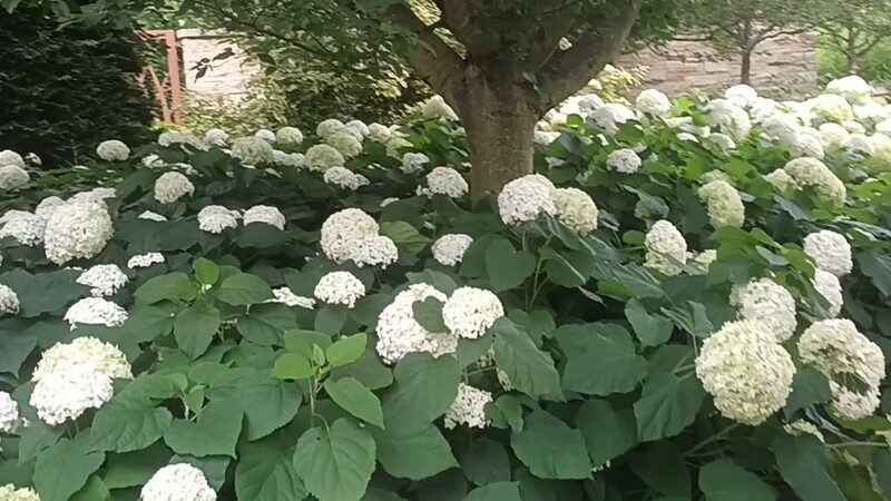 The Arboretum at Penn State - State College, PA